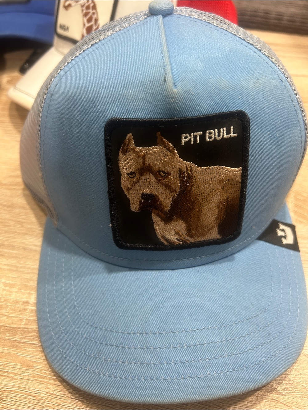 Goorin Bros Light Blue Pit Bull Patch Trucker Hat